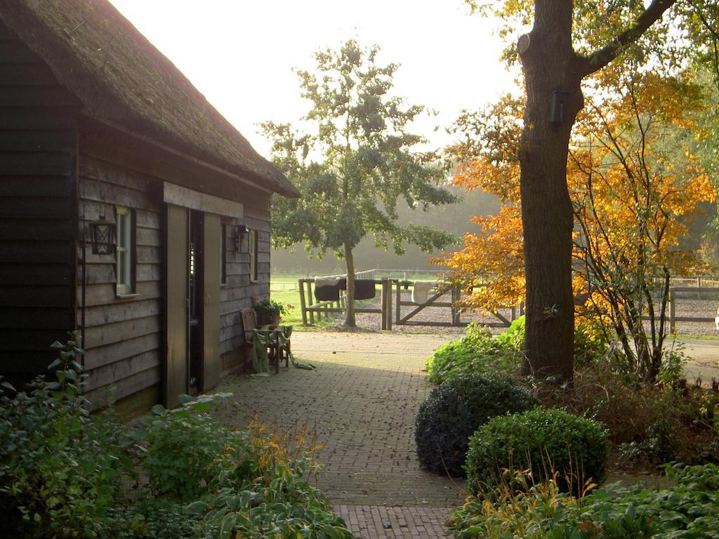 Hoeve Den Anholt Villa Ruinen Exterior foto