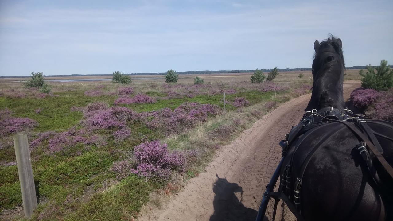 Hoeve Den Anholt Villa Ruinen Exterior foto