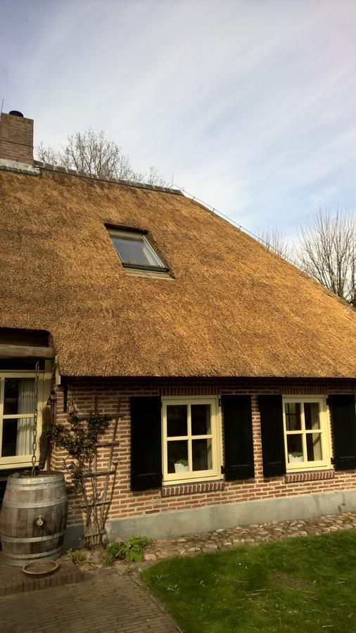 Hoeve Den Anholt Villa Ruinen Exterior foto