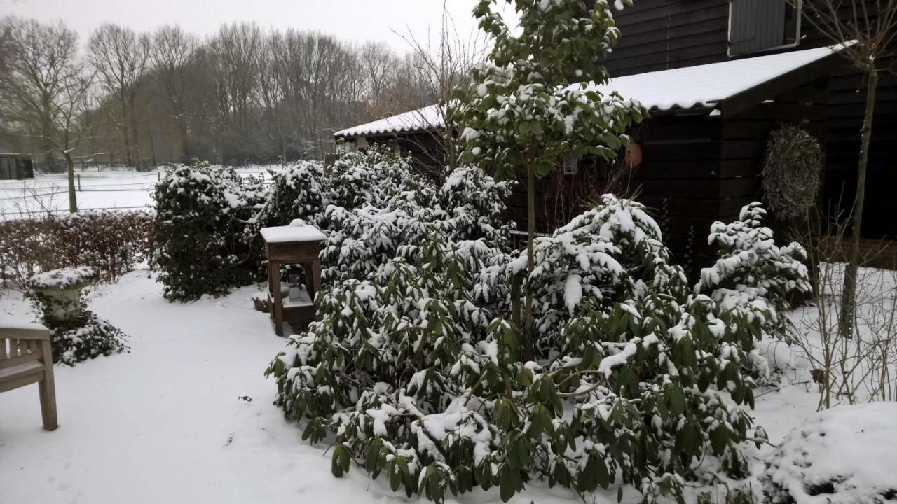 Hoeve Den Anholt Villa Ruinen Exterior foto